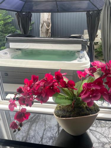 a pot of pink flowers sitting in front of a pool at Secret Garden Vendégház in Pécs