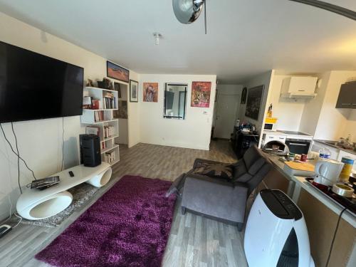 楠泰尔Jolie chambre à Nanterre Préfecture proche La Défense Aréna Campus SNCF et Paris的配有沙发和平板电视的客厅