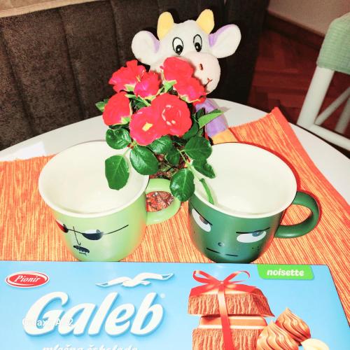 a picture of two cups with flowers on a table at Apartman PAVLE in Pluzine
