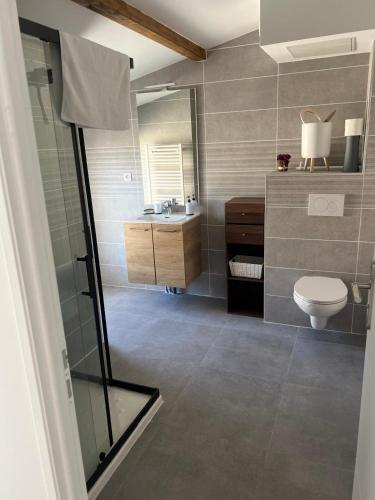 une salle de bain avec toilettes et lavabo dans l'établissement Maison10 avec 1 chambre lechaffardcom, à Satolas-et-Bonce