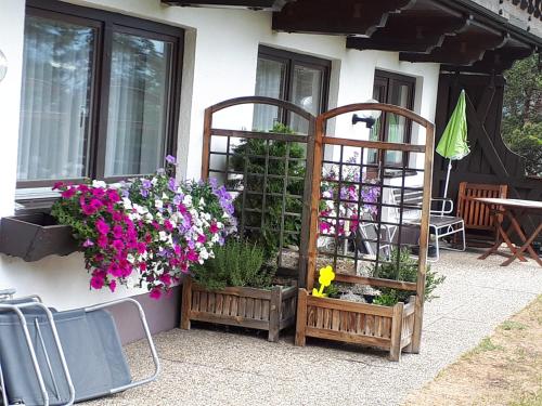 Gästehaus Friedlにある庭