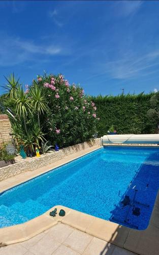 une piscine dans une cour fleurie dans l'établissement Lou Bagnou Mi-Clos, à Bagnols-sur-Cèze