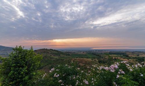 a view of the sunset from a hill with flowers at Lake George View Golf Resort in Kahendero