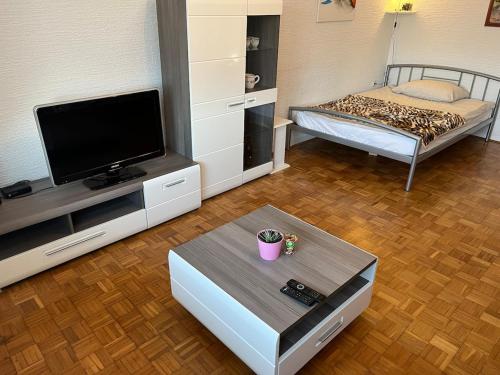 un salon avec une télévision et un lit dans l'établissement House in the Village, à Križevci pri Ljutomeru