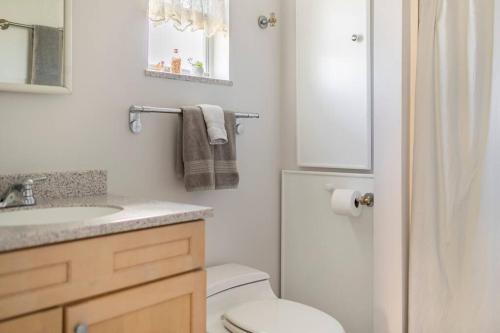 a bathroom with a toilet and a sink and a mirror at Goodland Waterfront Cottage in Goodland