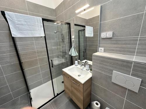 une salle de bain avec un lavabo et une douche dans l'établissement Maison 50 avec 5 chambres lechaffardcom, à Satolas-et-Bonce