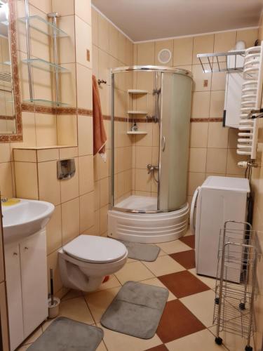 Kúpeľňa v ubytovaní Apartament nad Potokiem