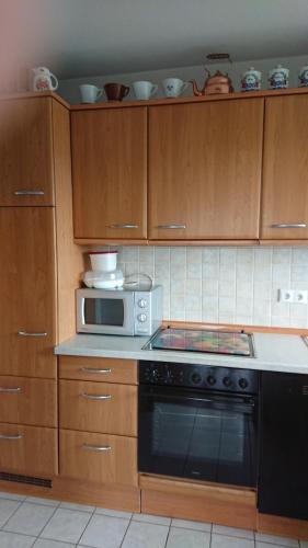 a kitchen with a stove and a microwave at Ferienwohnungen Sternenhimmel WHG 1 in Medebach
