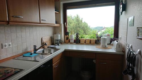a kitchen with a sink and a window at Ferienwohnungen Sternenhimmel WHG 1 in Medebach