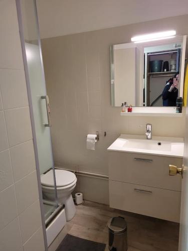 une salle de bain avec toilettes, lavabo et miroir dans l'établissement Appartement plein sud Super Devoluy Bois d'aurouze, à Saint-Étienne-en-Dévoluy