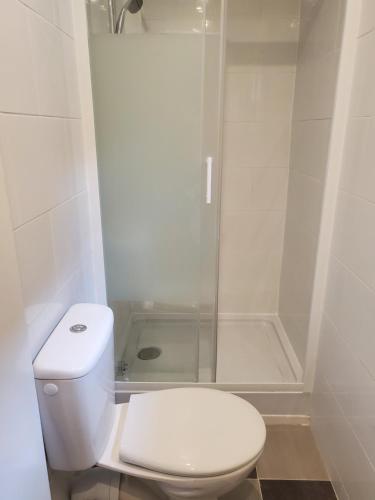 une salle de bain blanche avec toilettes et douche dans l'établissement Appartement près de Stade de France, à Aubervilliers