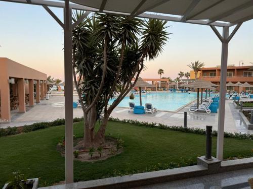 a palm tree in the middle of a swimming pool at Vai by Romance Hotel & Aqua Park in Ain Sokhna