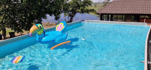 a swimming pool with a toy duck in the water at Delta Sunrise in Somova