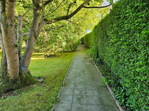 a walking path in a park with trees at L Escale Nature in Tournai
