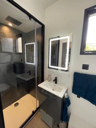 une salle de bain avec un lavabo et une douche dans l'établissement Studio indépendant, Neuf, jardin calme et paisible, à Épinay-sur-Seine