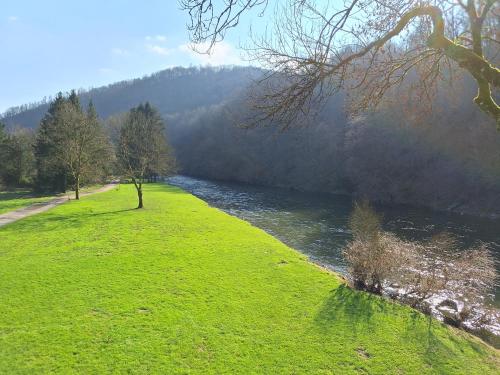 a grassy field next to a river with trees at Home Sweet Semois in Vresse-sur-Semois