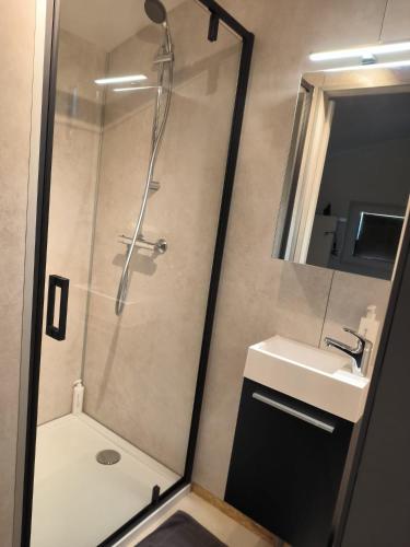 a bathroom with a shower and a sink at Mariafarm Chalets in Zevenbergen
