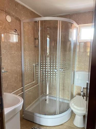 a bathroom with a shower and a toilet at Casa Noastră in Călimăneşti