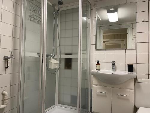 ein Badezimmer mit Dusche, Waschbecken und Spiegel in der Unterkunft Stathelle Heritage Retreat Apartment in Bamble