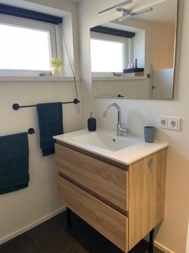 a bathroom with a sink and a mirror at Appartementen Chaamse Bossen met tuin in Chaam