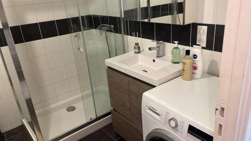 un bagno con lavandino e doccia di Dream appartement!! spacieux ,calme au rez-de-chaussée a Bourg-en-Bresse