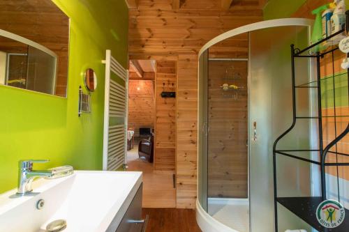 une salle de bain avec une douche en verre et un lavabo dans l'établissement Le Petit Renard, à Ancelle