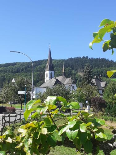 a church with a steeple in the middle of a town at Ferienwohnungen Sternenhimmel WHG 1 in Medebach