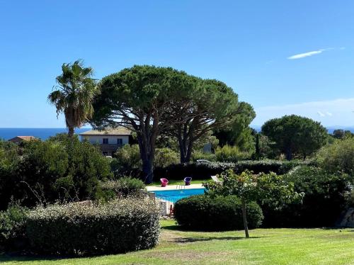una piscina in un giardino con una palma di Mini-villa Bocca del Oro - Sud Porto-Vecchio a Bocca del Oro