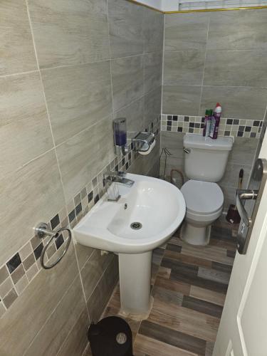 a bathroom with a sink and a toilet at Seven Palms Executive Lodge in Ndola