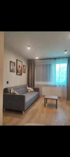a living room with a couch and a coffee table at Žemaičių 8 in Kretinga
