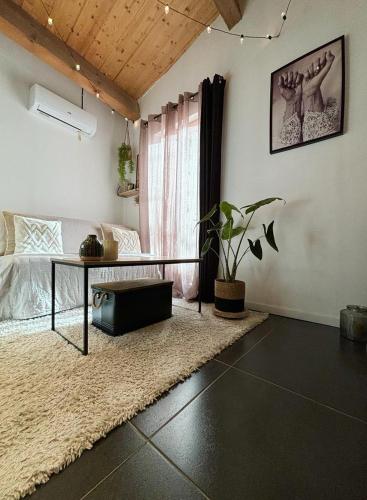 un salon avec une table et un canapé dans l'établissement Studio RDC terrasse , climatisé, tout confort, à Lunel