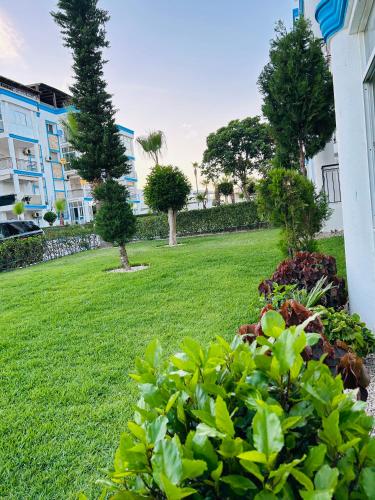 a yard with some plants in the grass at Royal sand Marina Smir in Marina Smir