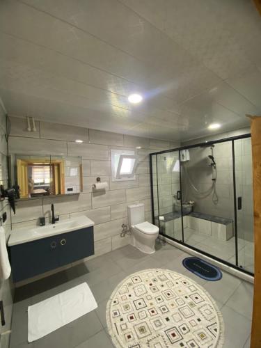 a bathroom with a shower and a sink and a toilet at Mira Suit Apart in Çamlıhemşin