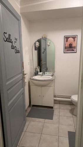 une salle de bain avec un lavabo et un miroir et des toilettes dans l'établissement Studio meublé, à Mulhouse