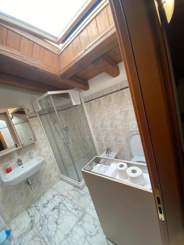 a bathroom with a shower and a sink and a toilet at Agriturismo Il Balcone sulla Valle in Bedero Valcuvia
