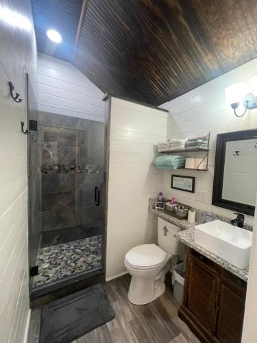 a bathroom with a shower and a toilet and a sink at Cozy Cabin in Crestwood Subdivision in Avinger