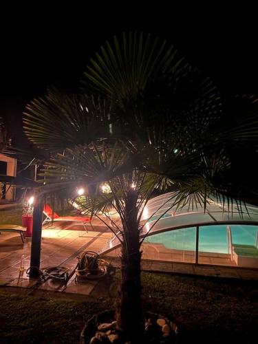 un palmier devant un bâtiment la nuit dans l'établissement Maison de caractère en Dordogne Piscine couverte & randonnées aux portes du Périgord, à La Chapelle-Gonaguet