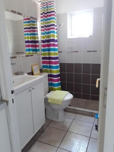 une salle de bain avec toilettes et rideau de douche dans l'établissement studio eucalyptus, à Canale-di-Verde