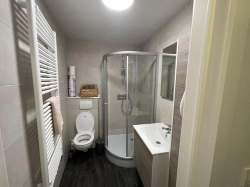 a bathroom with a shower and a toilet and a sink at E&L Appartement in Willebroek