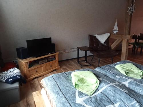 a bedroom with a bed and a tv and a chair at Auszeit-Schoenenwalde in Papenhagen