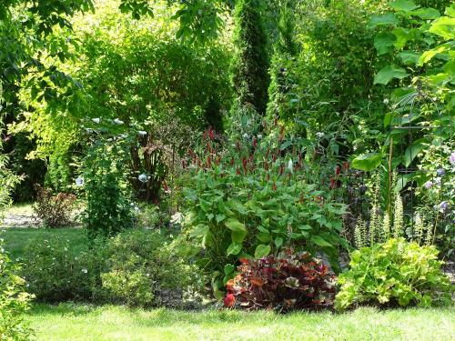 Taman di luar Siedlisko Garbatówka na wyłączność