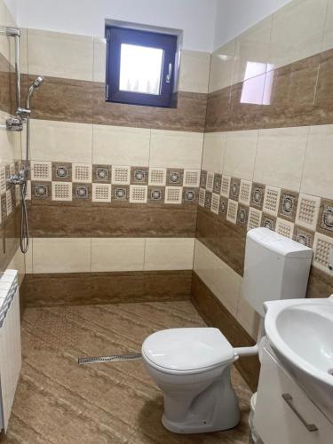 a bathroom with a toilet and a sink at Casă de Vacanță Raul in Gura Rîului