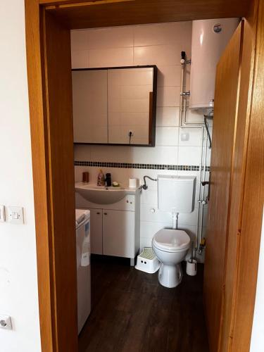 BrdoにあるApartman za odmor BELAのトイレと洗面台のある小さなバスルーム