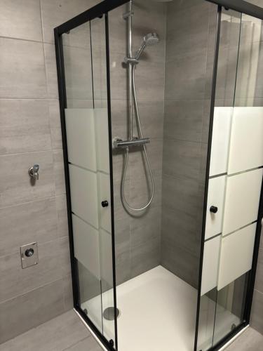 a shower with a glass enclosure in a bathroom at LandHaus Hof Wehlenbach in Hallenberg