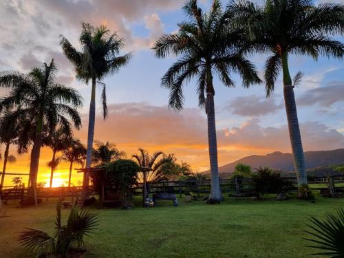 a group of palm trees in a park at sunset at Contempla Joanópolis in Joanópolis