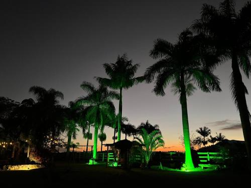 a group of palm trees at night with green lights at Contempla Joanópolis in Joanópolis