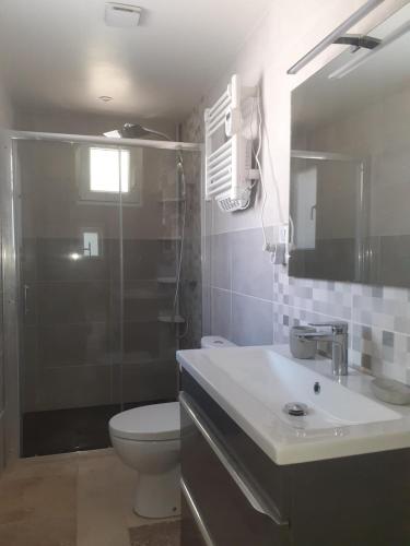 une salle de bain avec un lavabo, des toilettes et un miroir dans l'établissement Maison dans le Périgord, à Saint-Cernin-de-lʼHerm