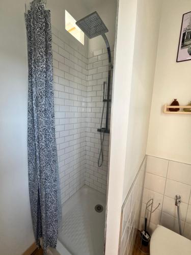 Un baño con ducha y WC. en Belle vue sur la mer, en Veules-les-Roses