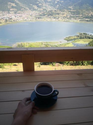 a person holding a cup of coffee in front of a window at Sunčani Brijeg Eco Village in Plav