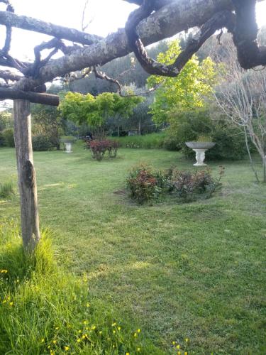 Gallery image of La Torretta in Sesta Godano
